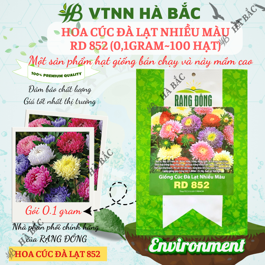 Hạt giống Hoa Cúc Đà Lạt Nhiều Màu Rd 852 (0,1gram~100 hạt) giống hoa đẹp, trồng quanh năm