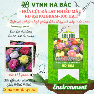 Hạt giống Hoa Cúc Đà Lạt Nhiều Màu Rd 852 (0,1gram~100 hạt) giống hoa đẹp, trồng quanh năm
