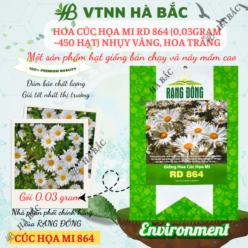 Hạt giống Hoa Cúc Họa Mi Rd 864 (0,03gram~450 hạt) nhụy vàng, hoa trắng, trồng quanh năm