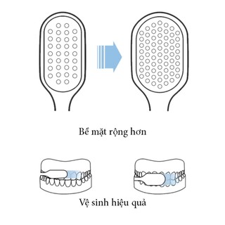BỘ 3 BÀN CHẢI NHẬT , Bàn Chải Đánh Răng Nhật Bản DANY Bộ 3 Chiếc Bàn Chải Lông Mềm Mại Đánh Sạch Sâu: BANCHAINHAT35