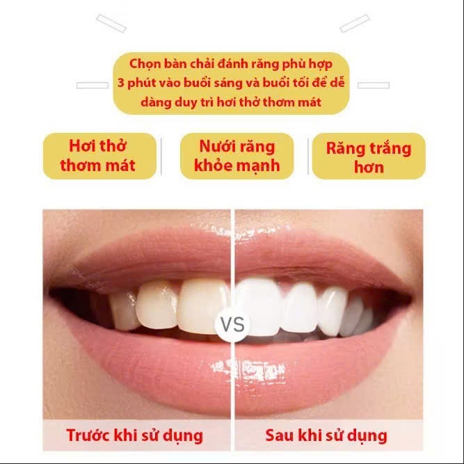 Set 3 Bàn Chải Siêu Mềm TOOTHBRUSH Nhật,  BÀN CHẢI ĐÁNH RĂNG - MÃ: BANCHAI3