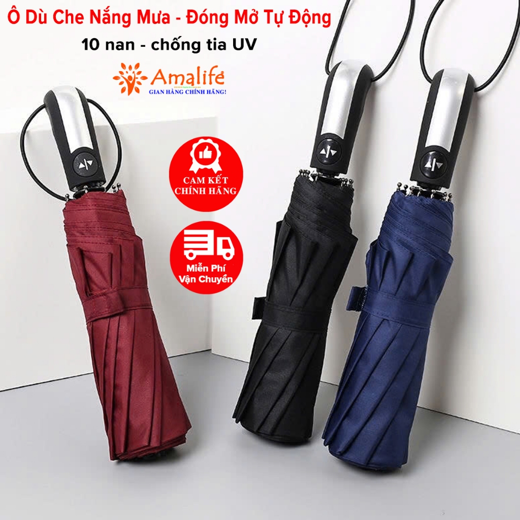 Đánh Giá Ô Tự Động Đóng Mở 2 Chiều 10 Nan Amalife Chống UV - Chỉ 79K