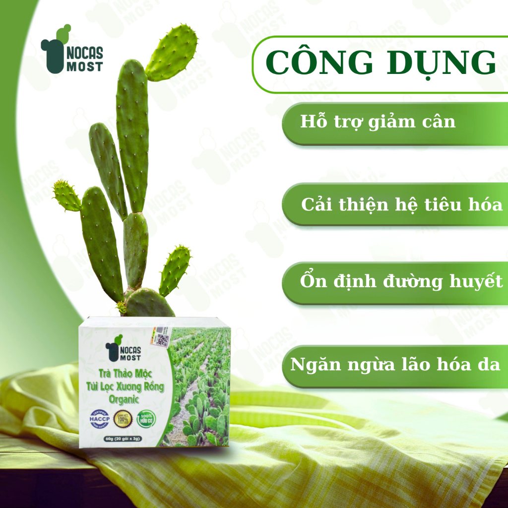 Trà thảo mộc túi lọc xương rồng organic Nocas Most giảm mỡ, đẹp da 60g (20 gói * 3g)