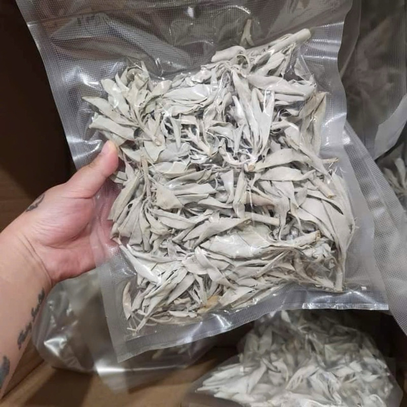 Lá Xô trắng( white sage) thanh tẩy năng lượng tích cực, thơm nhà, ấm áp ...