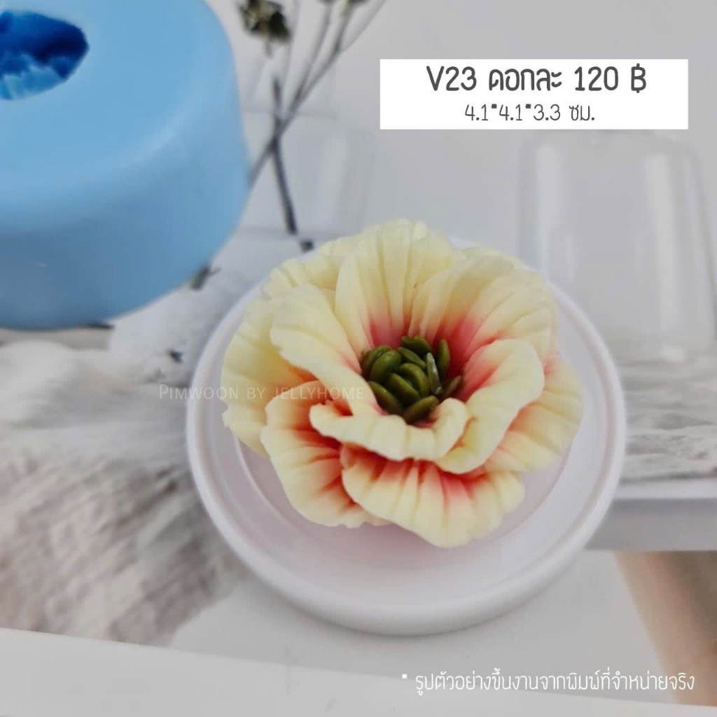 Hoa thái V23
