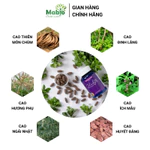 Nội Tiết Tố Nữ Slady Mua 5h + 1h Cải Thiện Nội Tiết Sinh Lý Giảm Khô Hạn Mất Ngủ Nám Tàn Nhang Mabio — ảnh 3