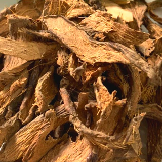 Cây thiên niên kiện