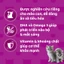Thức ăn cho mèo con WHISKAS Junior dạng sốt – túi 80g