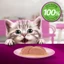 Thức ăn cho mèo con WHISKAS Junior dạng sốt – túi 80g