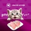 Thức ăn cho mèo con WHISKAS Junior dạng sốt – túi 80g
