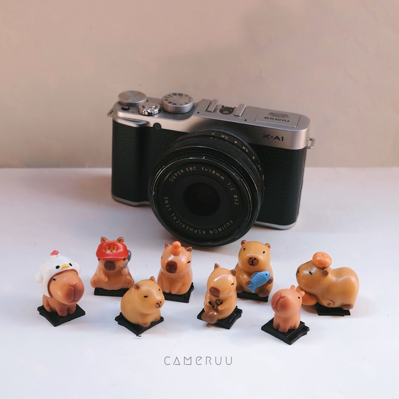 Hotshoe cover Capybara Nắp che flash cho máy ảnh DSLR Mirrorless Máy ...