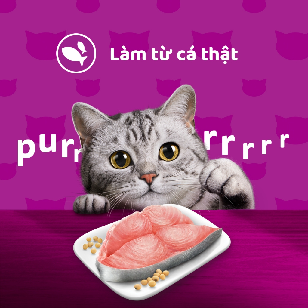 Ảnh Thức Ăn Dạng Sốt Cho Mèo Trưởng Thành WHISKAS - 80g 2