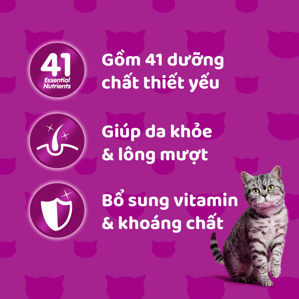 Ảnh Thức Ăn Dạng Sốt Cho Mèo Trưởng Thành WHISKAS - 80g 1