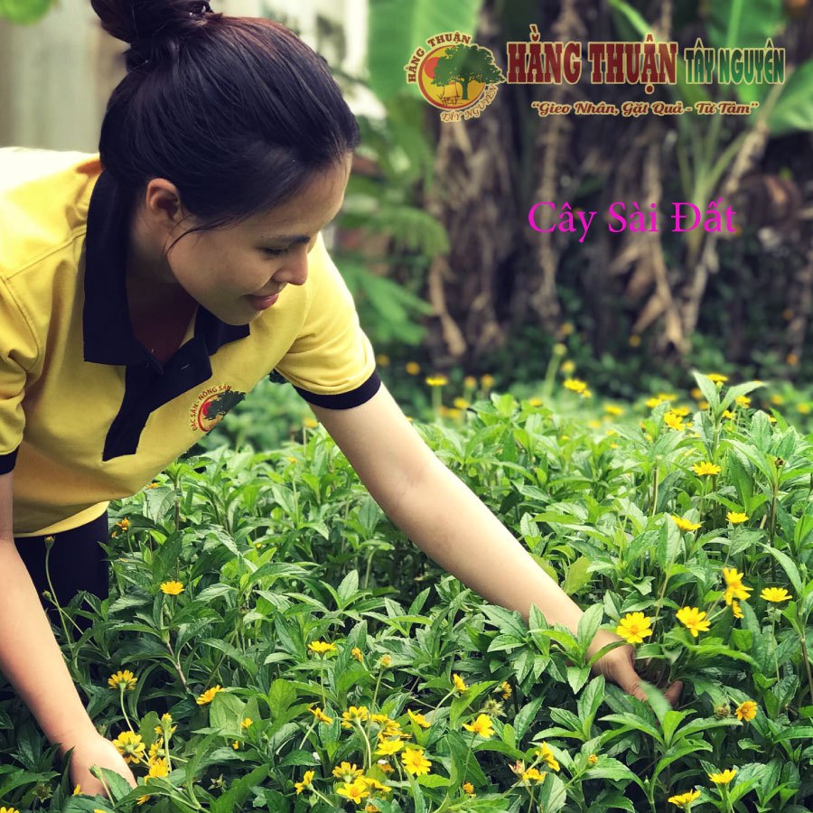 Thảo Dược Tắm Bé Túi Lọc Hằng Thuận Tây Nguyên