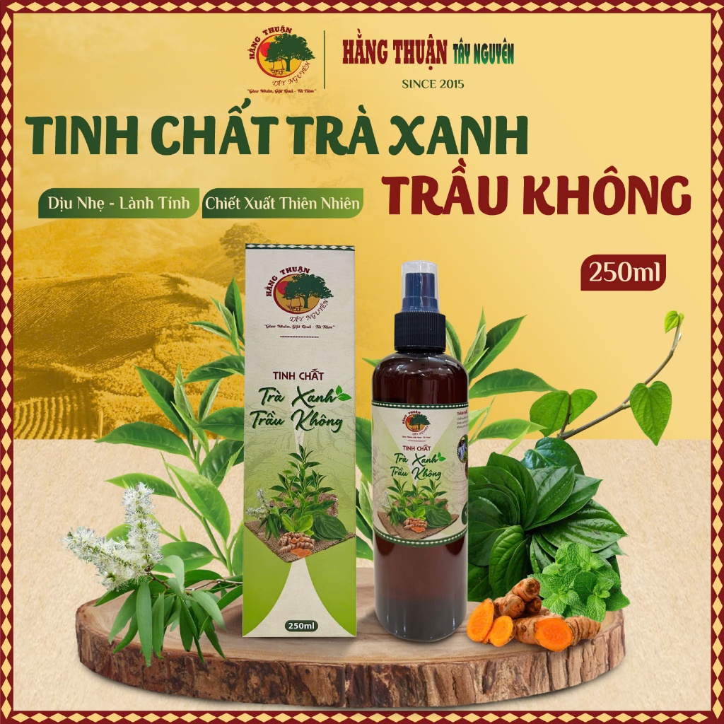 Tinh Chất Trầu Không Trà Xanh Hằng Thuận Tây Nguyên [100ml-250ml]