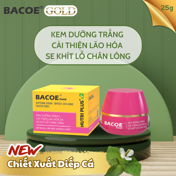 [BACOE GOLD] Kem BACOE Kem Dưỡng Trắng Cải Thiện Lão Hóa Da Se Khít Lỗ Chân Lông Kem BACOE GOLD