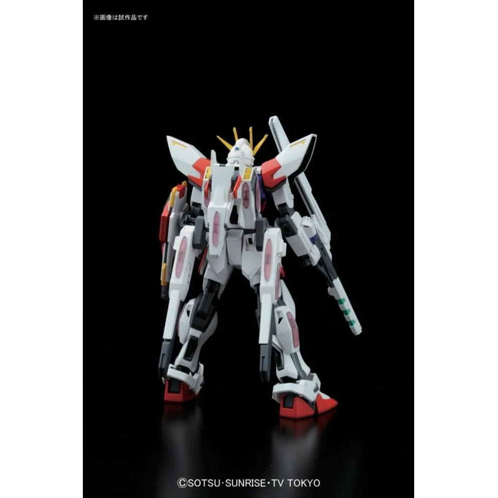Mô hình lắp ráp HG BF 1/144 STAR BUILD STRIKE GUNDAM PLAVSKY WING (New Seal)