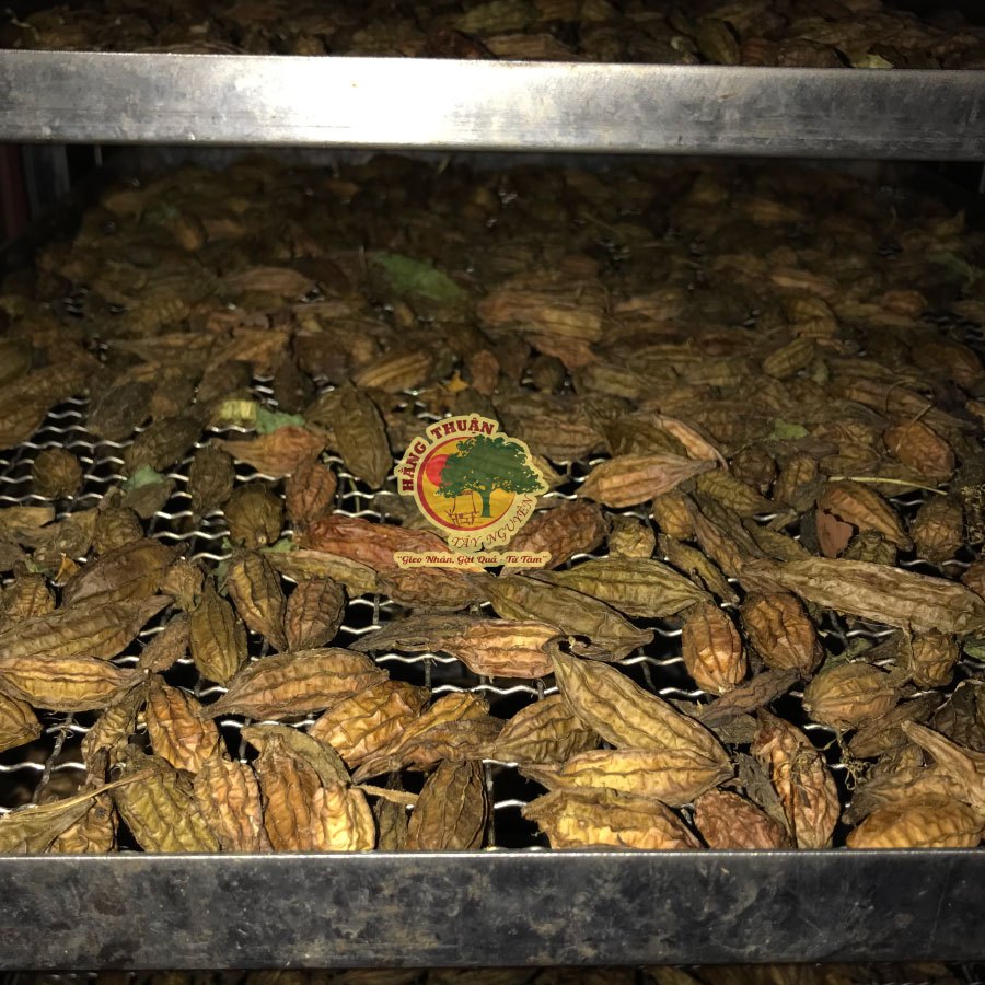 Trà Khổ Qua Rừng Hằng Thuận Tây Nguyên