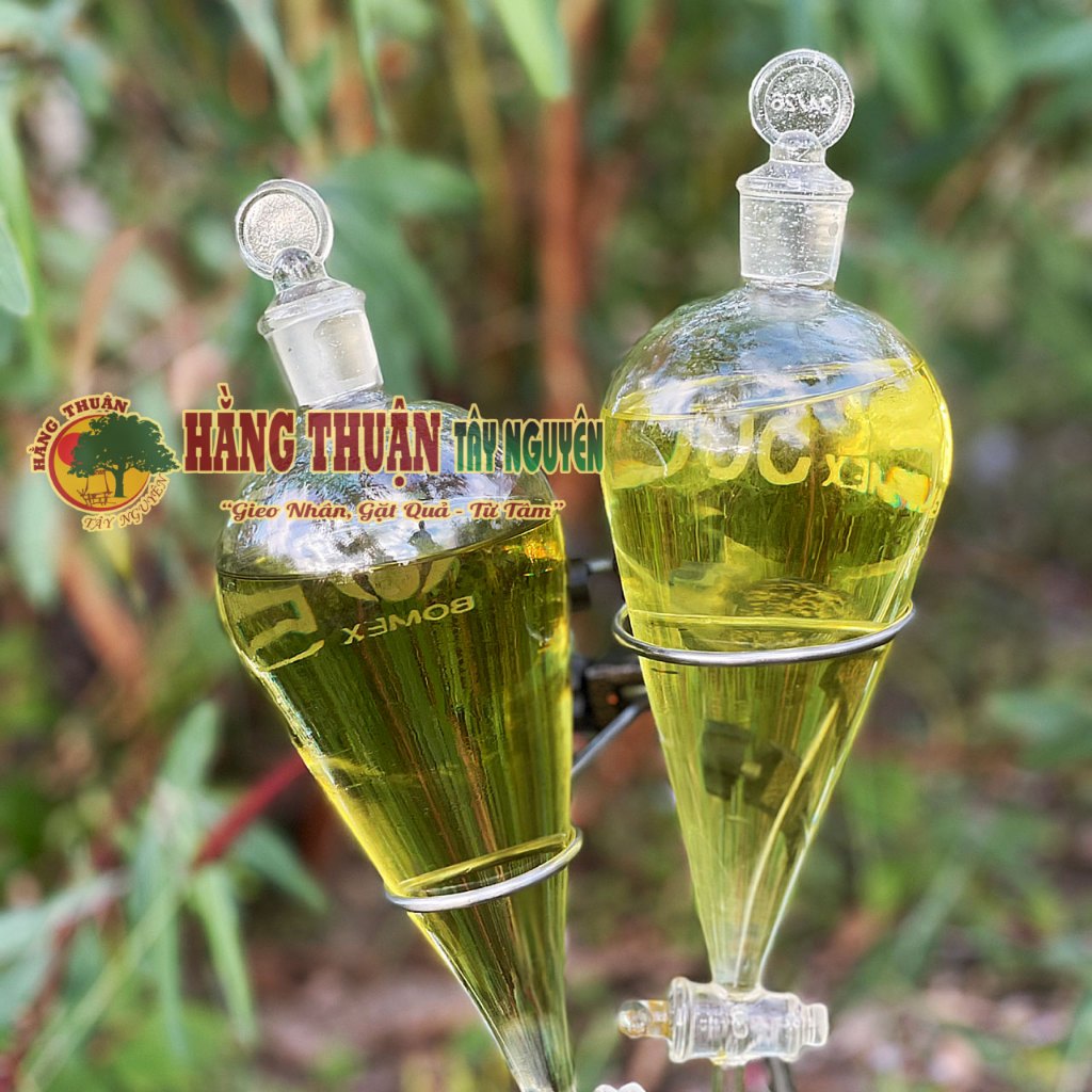 Dầu Khuynh Diệp Nguyên Chất Hằng Thuận Tây Nguyên