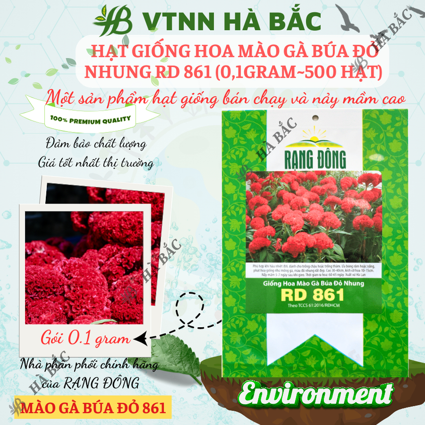 Hạt giống Hoa Mào Gà Búa Đỏ Nhung Rd 861 (0,1gram~500 hạt) nảy mầm tốt, thích hợp mùa tết