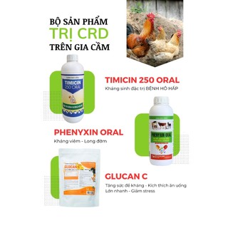 TIMICIN 250 ORAL chai 1 lít VB Pharma trị đường hô hấp viêm phổi cho chó mèo gia súc gia cầm
