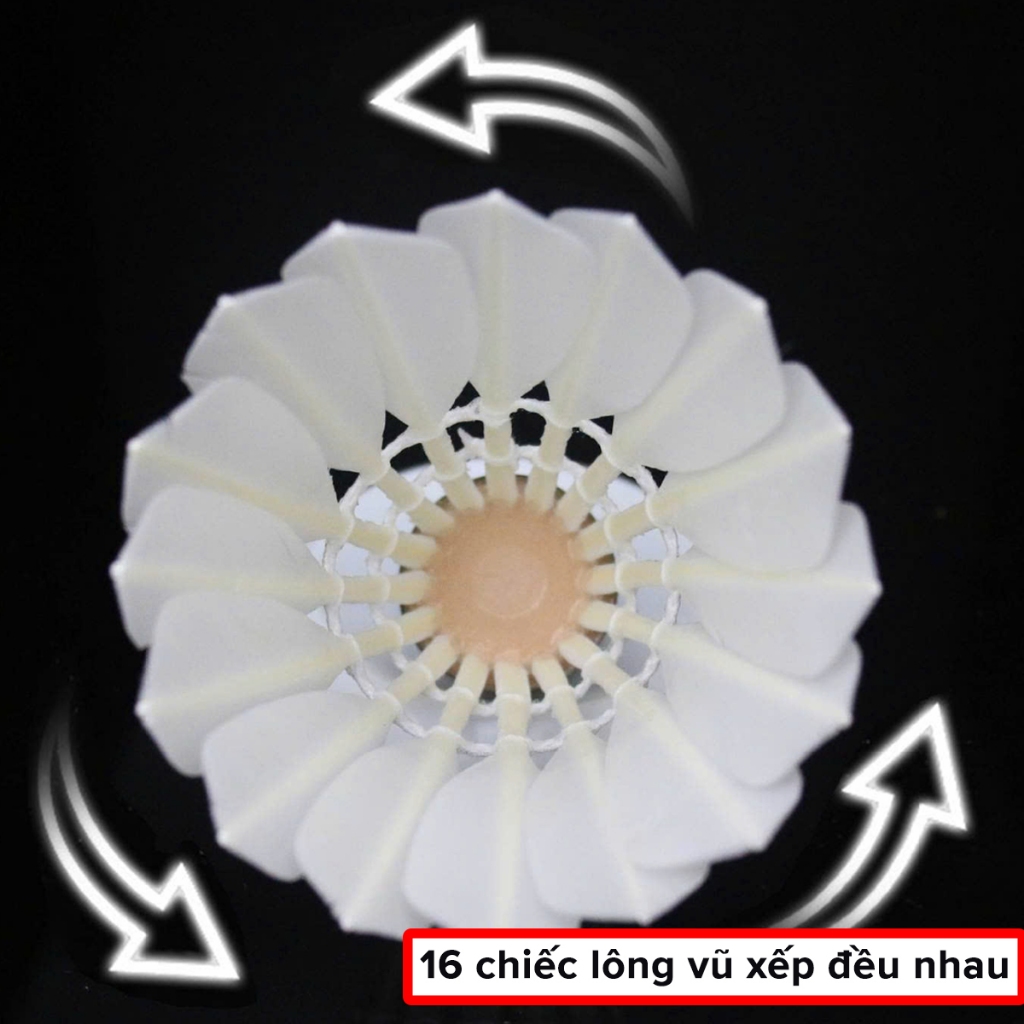 Ảnh Bộ 3 Quả Cầu Lông Lông Vũ Tự Nhiên Nhẹ, Bền, Đẹp, Chắc Chắn Có Hộp Đựng Quả Cầu Lông Chính Hãng Amalife 3