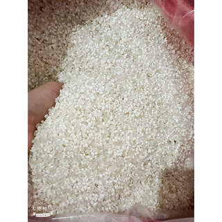 1kg nếp nương Lào nếp mới thơm lừng