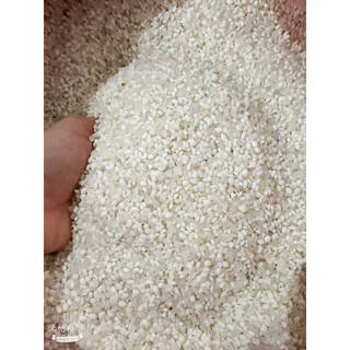 1kg nếp nương Lào nếp mới thơm lừng