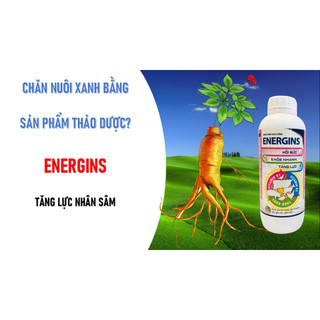 ENERGINS chai 1 lít Vb Pharma giúp vật nuôi nâng cao sức đề kháng, tăng lực nhân sâm gia súc gia cầm