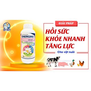 ENERGINS chai 1 lít Vb Pharma giúp vật nuôi nâng cao sức đề kháng, tăng lực nhân sâm gia súc gia cầm