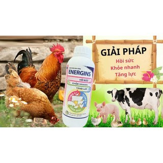 ENERGINS chai 1 lít Vb Pharma giúp vật nuôi nâng cao sức đề kháng, tăng lực nhân sâm gia súc gia cầm