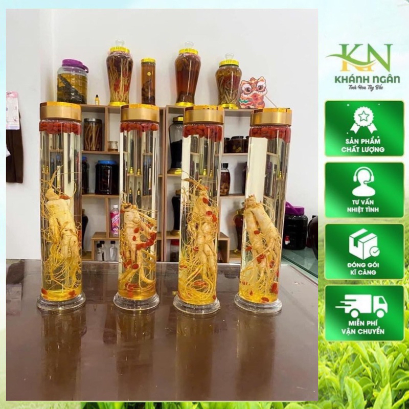 Rượu sâm trường bạch , lan kim tuyến ,tam thất hoang ,thất diệp ngâm rượu nếp nương Tây Bắc(Bình 1,5 rượu ngon)
