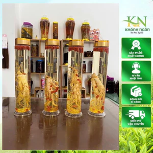 Rượu sâm trường bạch , lan kim tuyến ,tam thất hoang ,thất diệp ngâm rượu nếp nương Tây Bắc(Bình 1,5 rượu ngon)