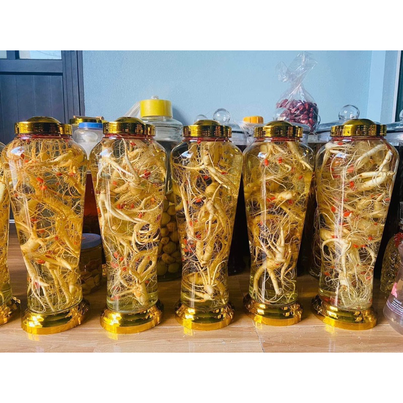 Rượu sâm trường bạch , lan kim tuyến ,tam thất hoang ,thất diệp ngâm rượu nếp nương Tây Bắc(Bình 1,5 rượu ngon)