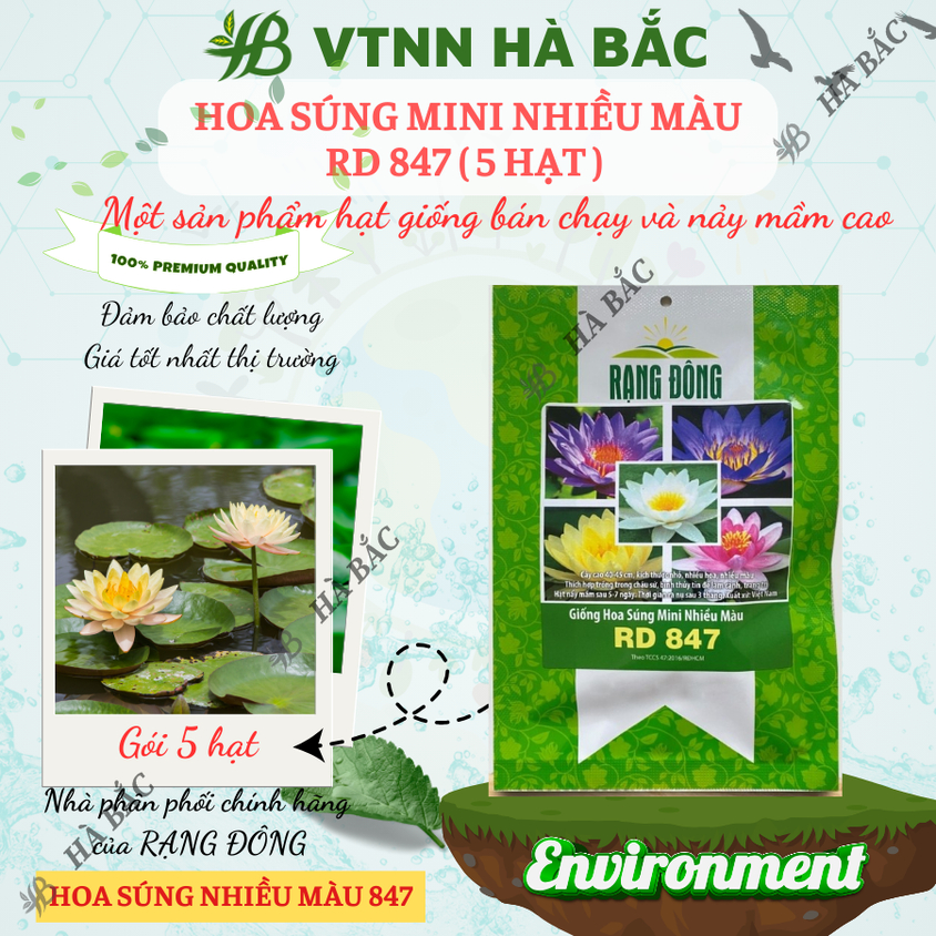Hạt giống Hoa Súng Mini Nhiều Màu Rd 847 (5 hạt) phù hợp trồng chậu, quanh năm