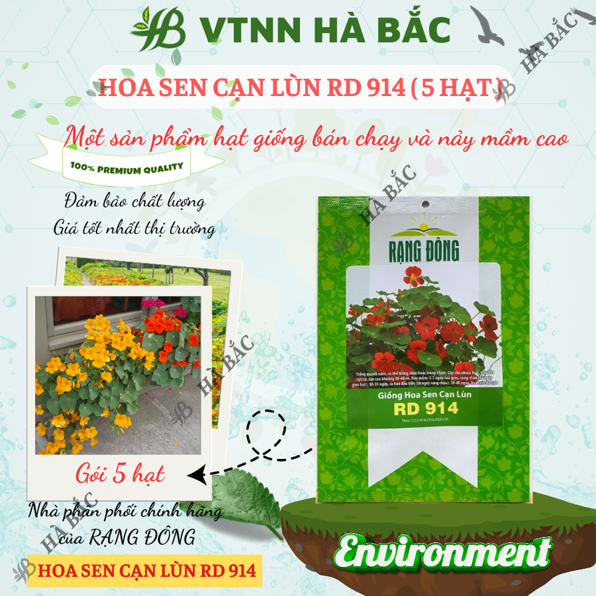 Hạt giống Hoa Sen Cạn Lùn Rd 914 (5 hạt) thích hợp trồng thảm hoặc chậu