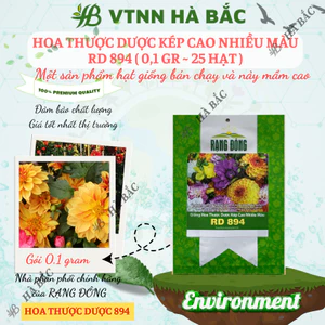 Hạt giống Hoa Thược Dược Kép Cao Nhiều Màu Rd 894 (0,1gram~25 hạt) cao 140-160cm, trồng quanh năm