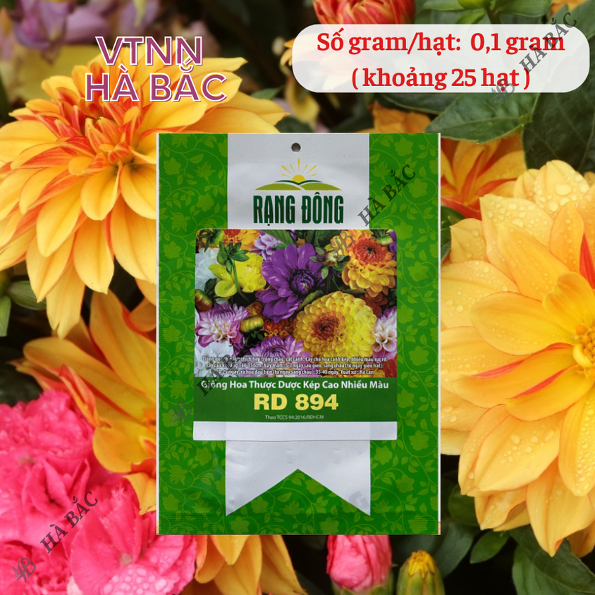 Hạt giống Hoa Thược Dược Kép Cao Nhiều Màu Rd 894 (0,1gram~25 hạt) cao 140-160cm, trồng quanh năm