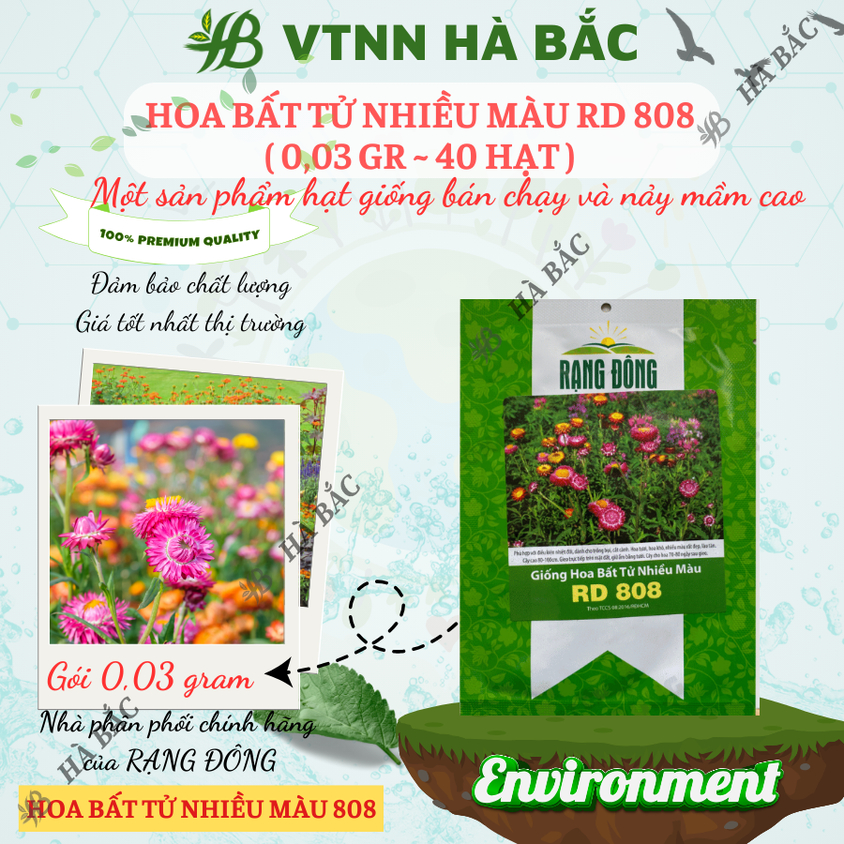 Hạt giống Hoa Bất Tử Nhiều Màu Rd 808 (0,03gram~40 hạt) thân cao 80-100cm, trồng quanh năm