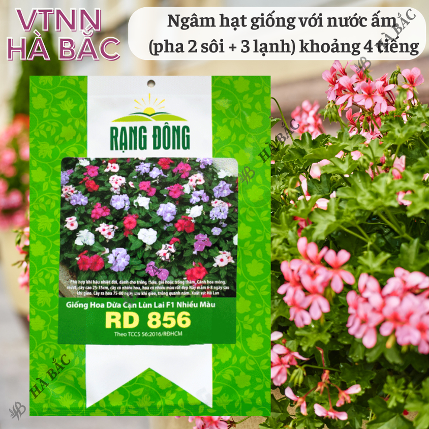 Hạt giống Hoa Dừa Cạn Lùn Lai F1 Nhiều Màu Rd 856 (0,03gram~30 hạt) trồng giỏ treo, chậu ban công