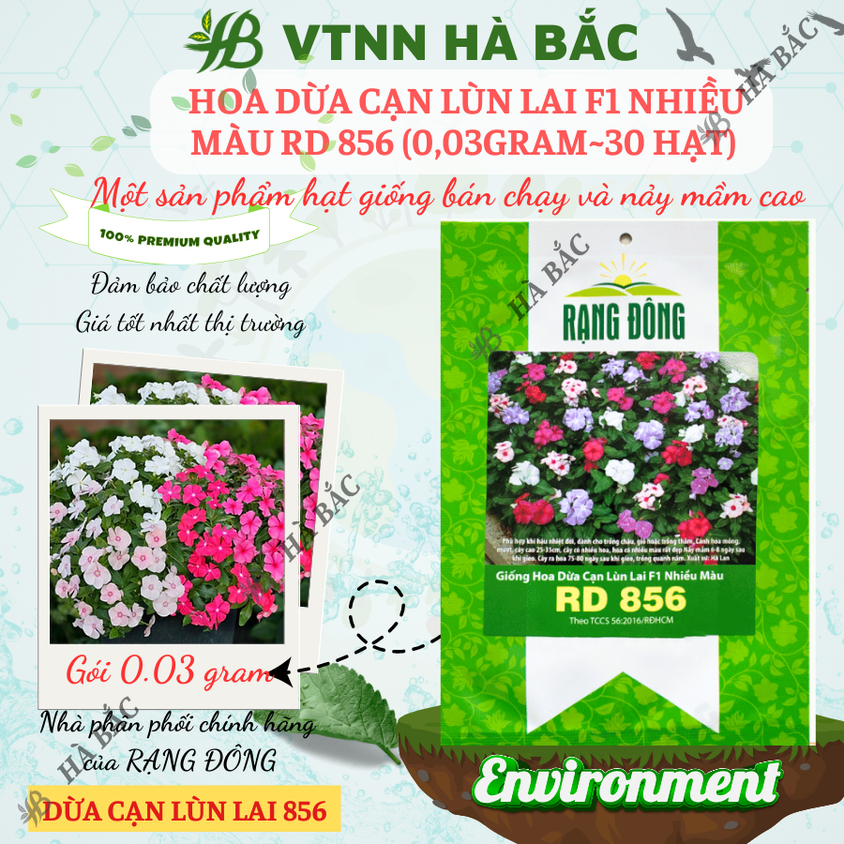 Hạt giống Hoa Dừa Cạn Lùn Lai F1 Nhiều Màu Rd 856 (0,03gram~30 hạt) trồng giỏ treo, chậu ban công