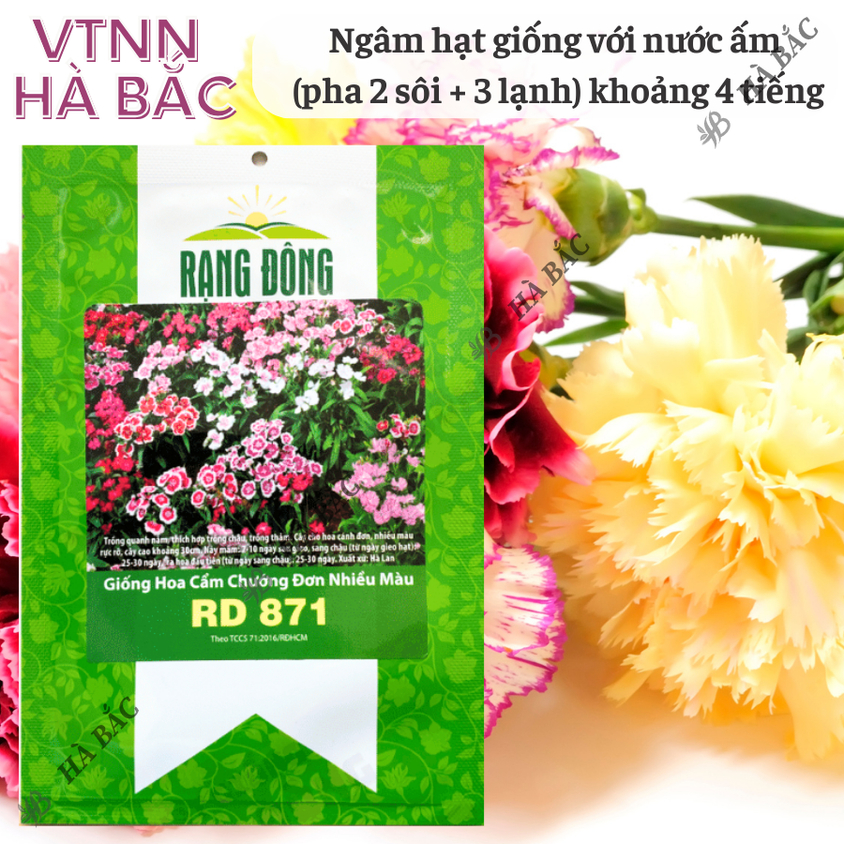 Hạt giống Hoa Cẩm Chướng Đơn Nhiều Màu Rd 871 (0,1gram~200 hạt) sinh trưởng khỏe, trồng quanh năm