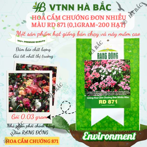 Hạt giống Hoa Cẩm Chướng Đơn Nhiều Màu Rd 871 (0,1gram~200 hạt) sinh trưởng khỏe, trồng quanh năm