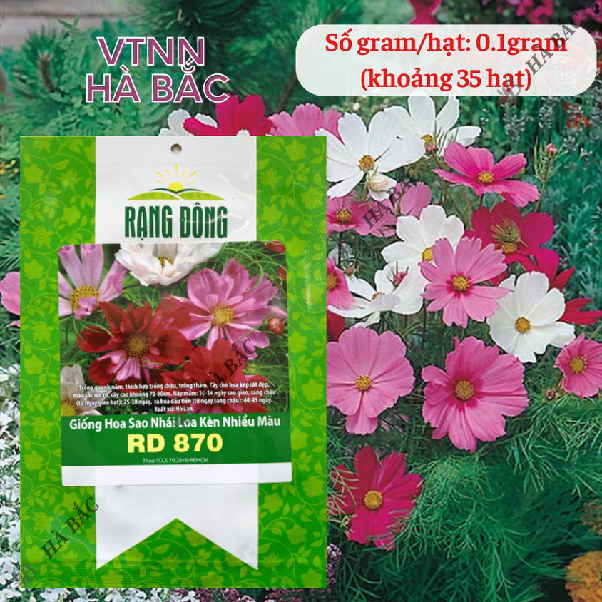 Hạt giống Hoa Sao Nhái Loa Kèn Nhiều Màu Rd 870 (0,1gram~35 hạt) dễ nảy mầm, trồng quanh năm