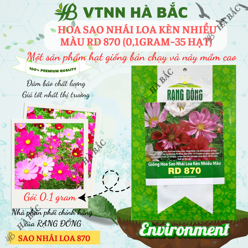 Hạt giống Hoa Sao Nhái Loa Kèn Nhiều Màu Rd 870 (0,1gram~35 hạt) dễ nảy mầm, trồng quanh năm