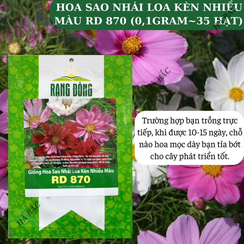 Hạt giống Hoa Sao Nhái Loa Kèn Nhiều Màu Rd 870 (0,1gram~35 hạt) dễ nảy mầm, trồng quanh năm