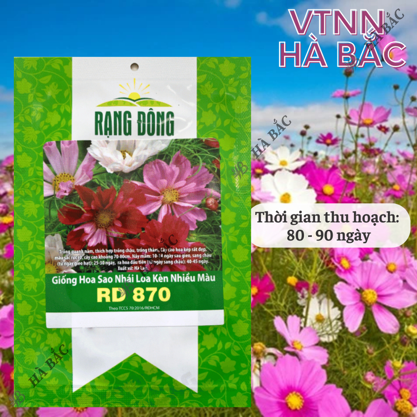Hạt giống Hoa Sao Nhái Loa Kèn Nhiều Màu Rd 870 (0,1gram~35 hạt) dễ nảy mầm, trồng quanh năm
