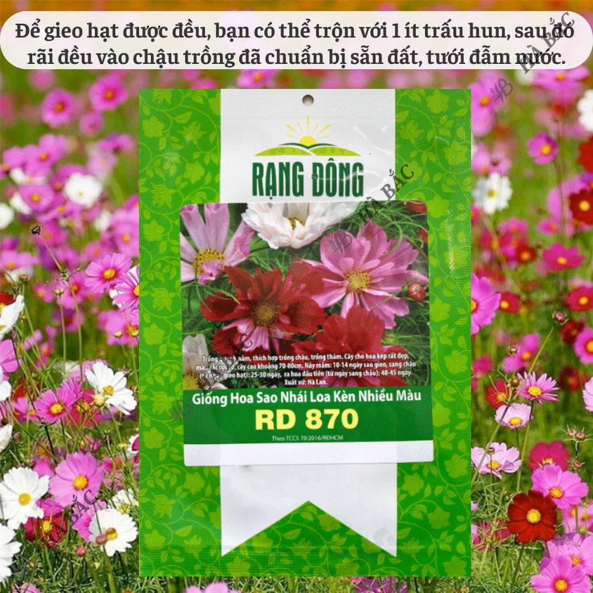 Hạt giống Hoa Sao Nhái Loa Kèn Nhiều Màu Rd 870 (0,1gram~35 hạt) dễ nảy mầm, trồng quanh năm