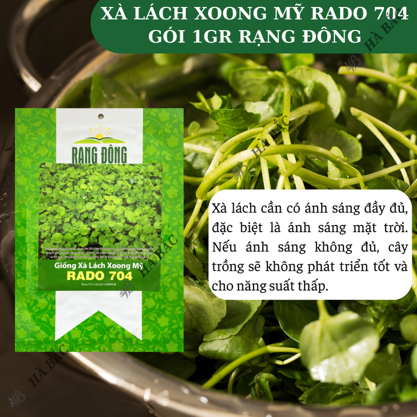 Hạt giống Xà Lách Xoong Rado 704 (1gram~1500 hạt) giàu dinh dưỡng, chịu nhiệt tốt, trồng quanh năm