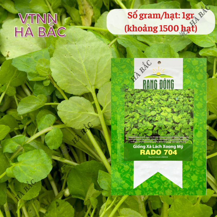 Hạt giống Xà Lách Xoong Rado 704 (1gram~1500 hạt) giàu dinh dưỡng, chịu nhiệt tốt, trồng quanh năm